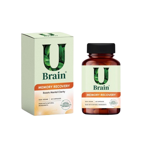 UBrain-Memory-Recovery-2